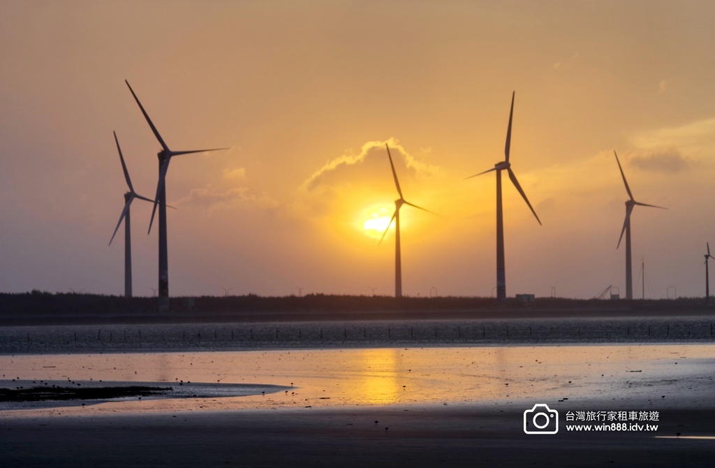 2024 1023 今天來到台中親子遊，賞花看日落