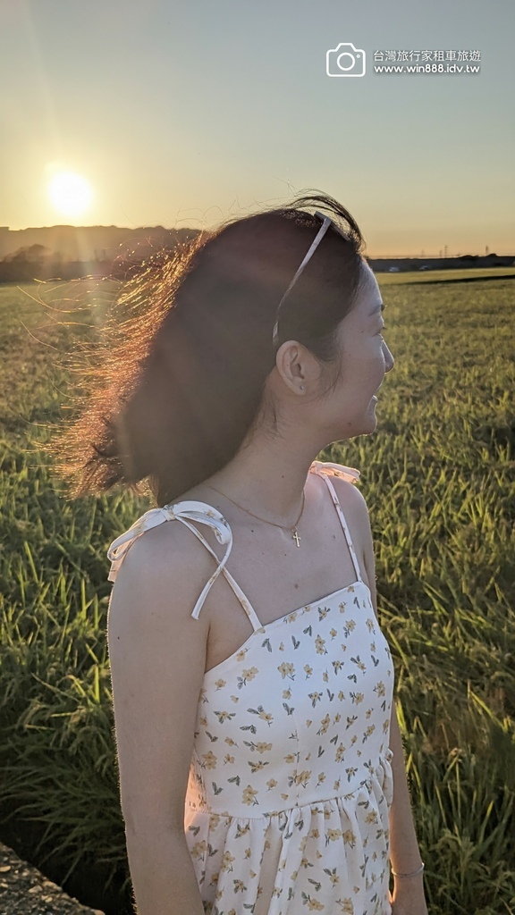 2024 1102 Johnna台中包車，薰衣草初綻放，外埔