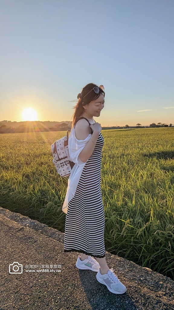 2024 1102 Johnna台中包車，薰衣草初綻放，外埔