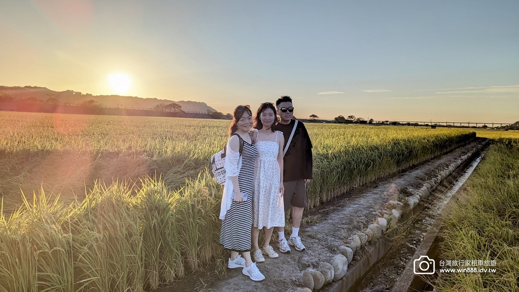 2024 1102 Johnna台中包車，薰衣草初綻放，外埔