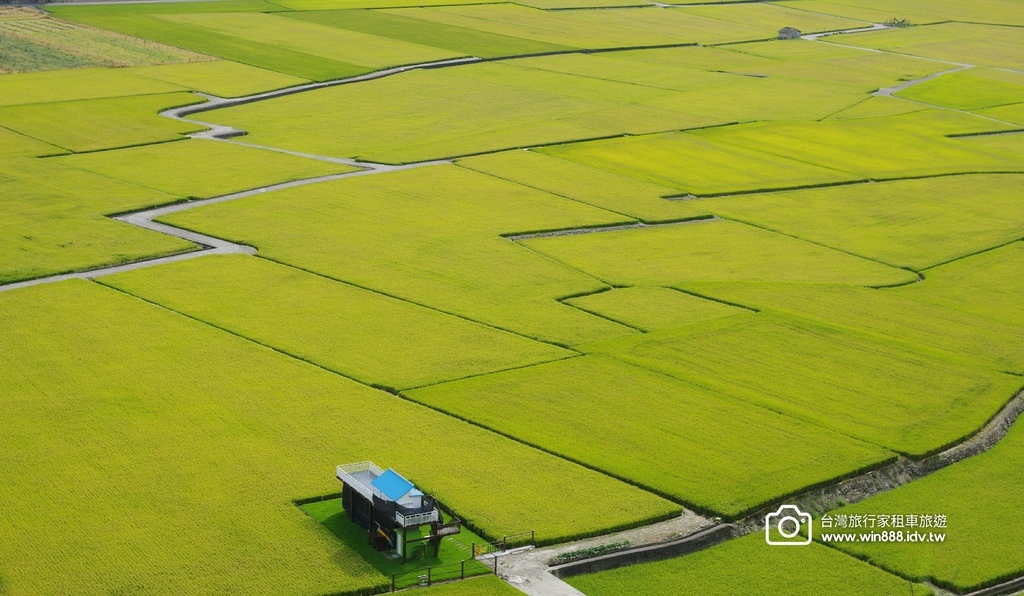 2024 1102 Johnna台中包車，薰衣草初綻放，外埔