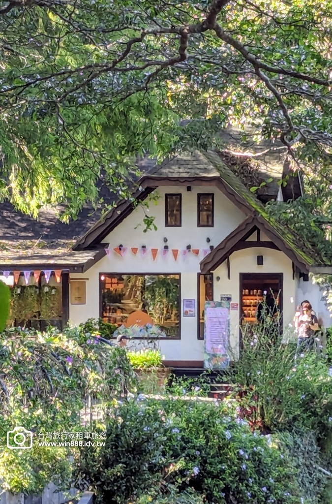 2024 1102 Johnna台中包車，薰衣草初綻放，外埔