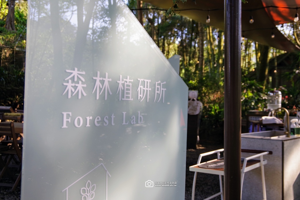 2024 1102 Johnna台中包車，薰衣草初綻放，外埔