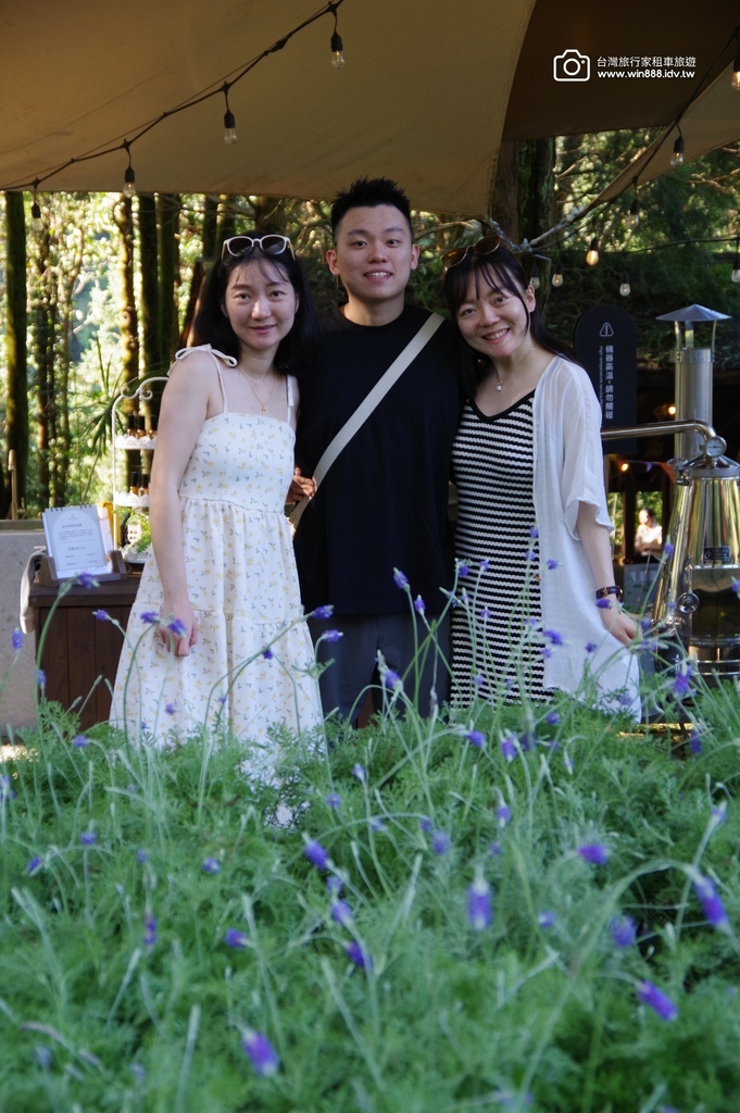 2024 1102 Johnna台中包車，薰衣草初綻放，外埔