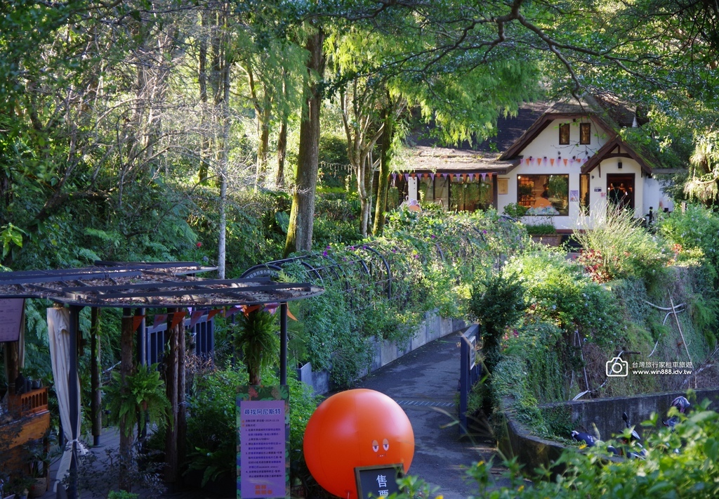 2024 1102 Johnna台中包車，薰衣草初綻放，外埔