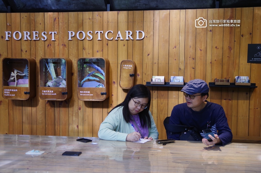 2024 1205 劉先生夫婦台中旅遊，黃金楓，白雪木，薰衣