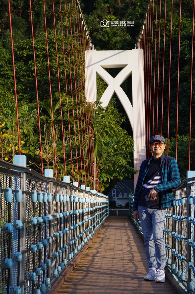 2024 1205 劉先生夫婦台中旅遊，黃金楓，白雪木，薰衣