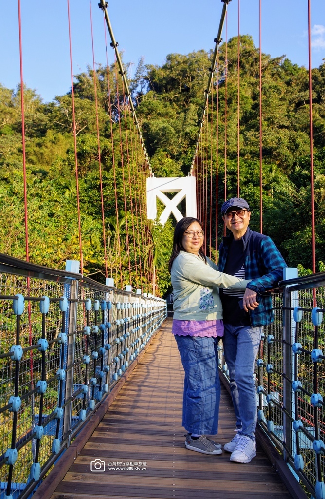 2024 1205 劉先生夫婦台中旅遊，黃金楓，白雪木，薰衣