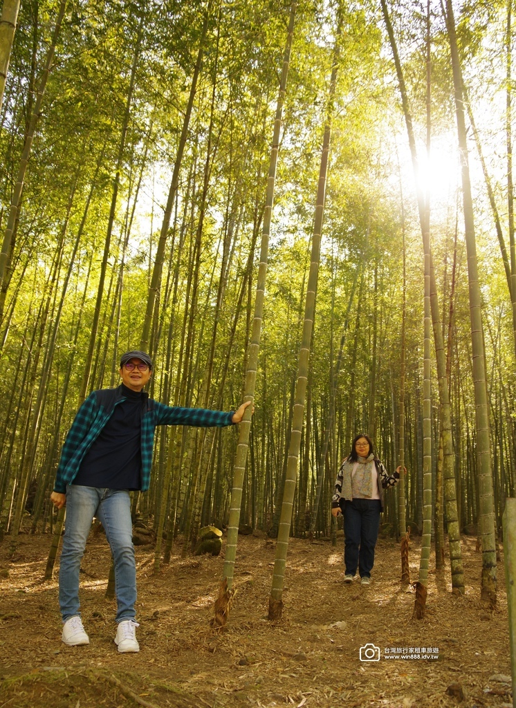 2025 1207 欣賞溪頭竹林後，來到霧峰林家宮保第園區，