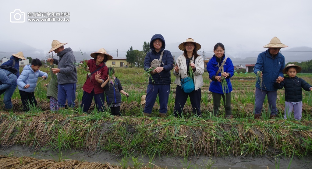 2024 1223 拔蔥洗蔥做蔥餅，小毛驢.梅花鹿，飲whi