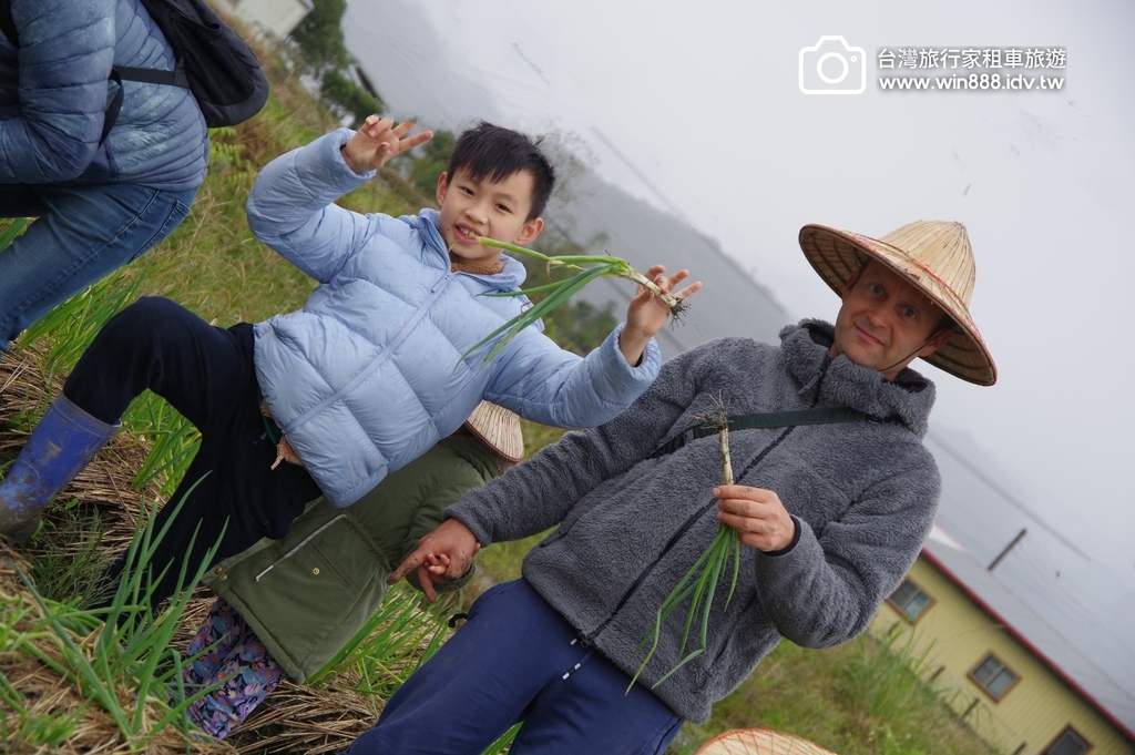 2024 1223 拔蔥洗蔥做蔥餅，小毛驢.梅花鹿，飲whi