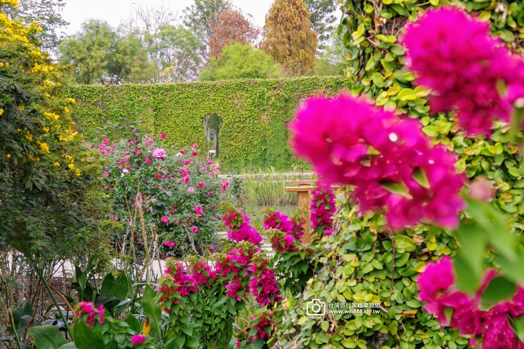 2025 0125 台南旅遊，最新景點，園區內種滿500多種
