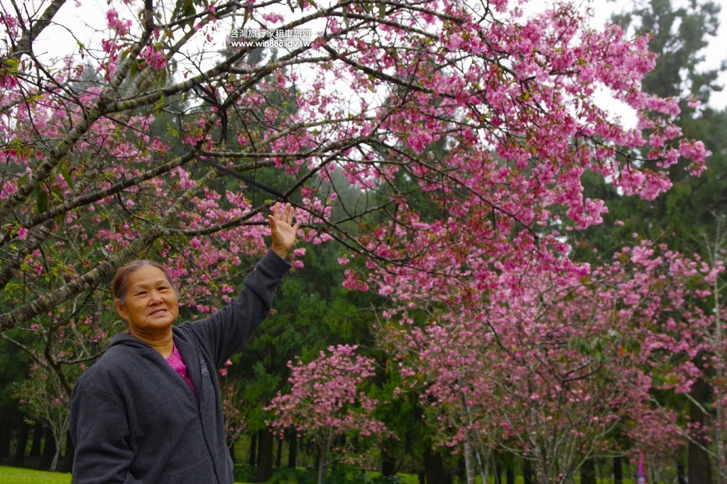 2025 0307 莊小姐與劉先生兩個家族，參觀日月潭九族文