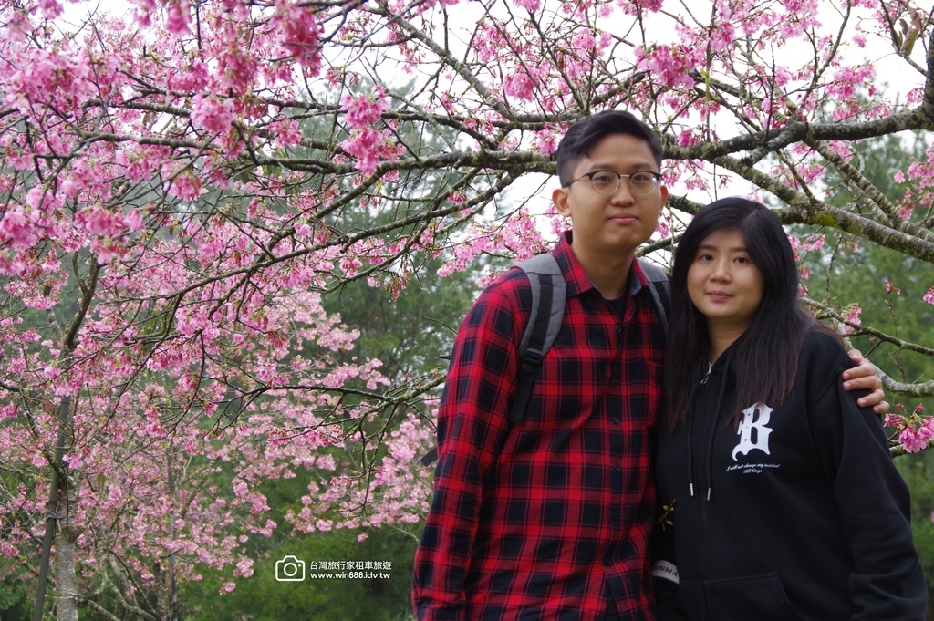 2025 0307 莊小姐與劉先生兩個家族，參觀日月潭九族文