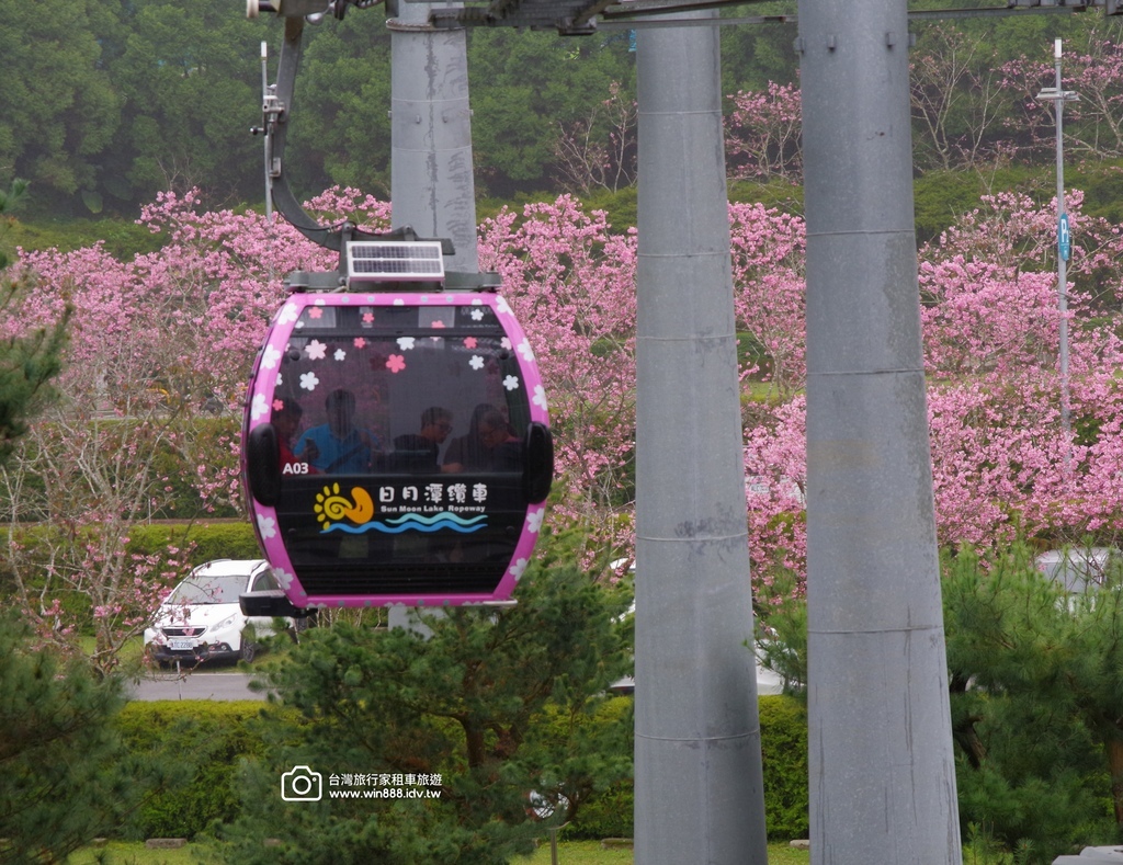 2025 0307 莊小姐與劉先生兩個家族，參觀日月潭九族文