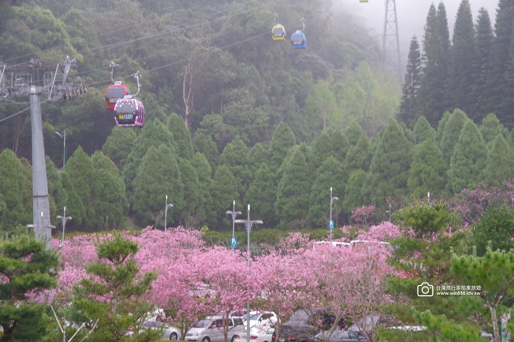 2025 0307 莊小姐與劉先生兩個家族，參觀日月潭九族文