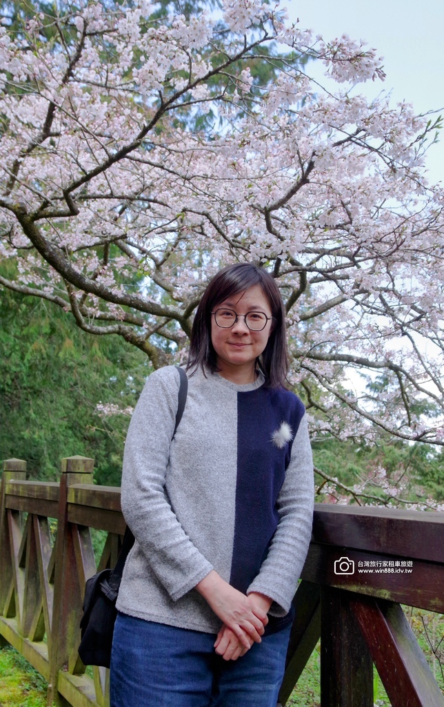 2025 0321 于先生夫婦，阿里山旅遊，幸運見到玉山白了