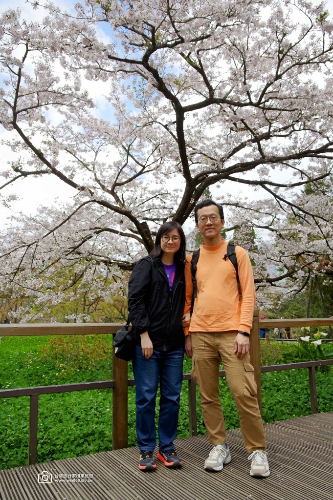 2025 0321 于先生夫婦，阿里山旅遊，幸運見到玉山白了