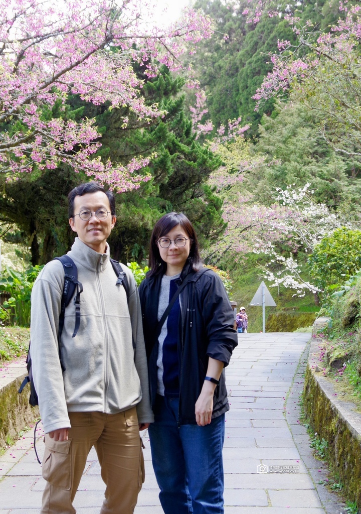 2025 0321 于先生夫婦，阿里山旅遊，幸運見到玉山白了