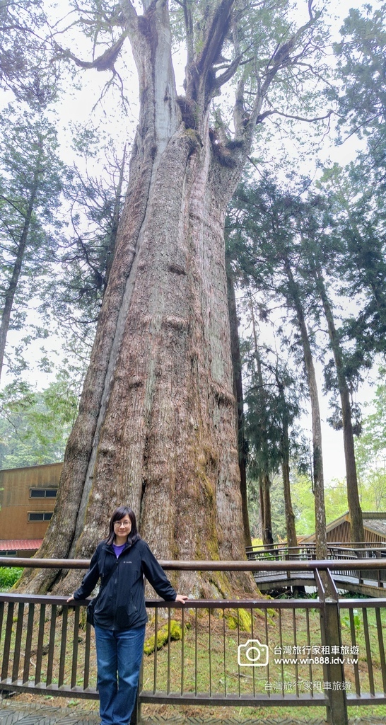 2025 0321 于先生夫婦，阿里山旅遊，幸運見到玉山白了