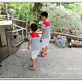 IMG_2540_nEO_IMG