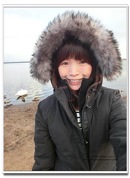1021208~北海道《天鵝湖》