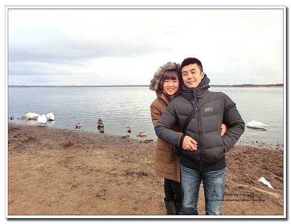 1021208~北海道《天鵝湖》