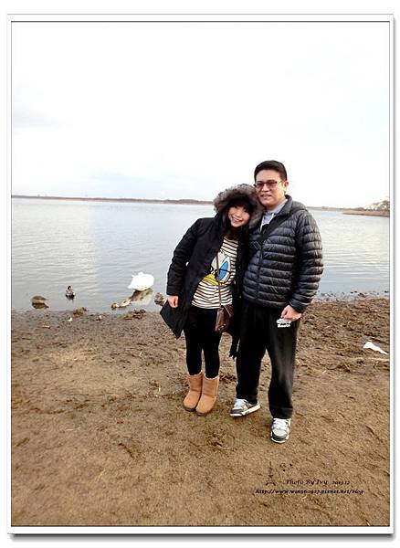 1021208~北海道《天鵝湖》