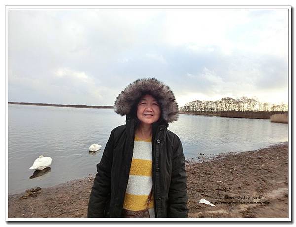 1021208~北海道《天鵝湖》