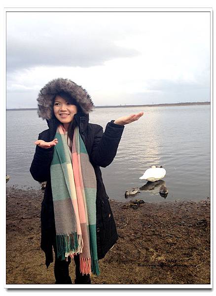 1021208~北海道《天鵝湖》