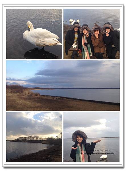 1021208~北海道《天鵝湖》
