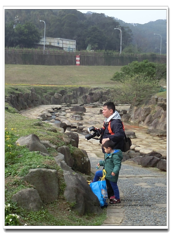 1030118~大溝溪花海