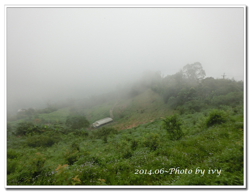 1030621~新竹左岸涼山