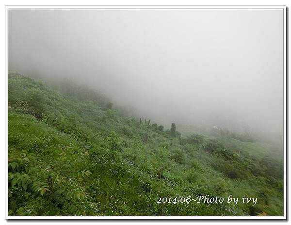 1030621~新竹左岸涼山