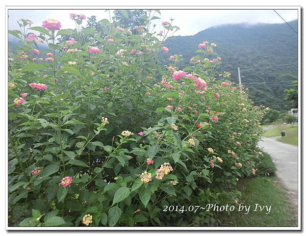 1030712~第二露《東澳那山那谷》