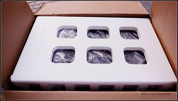 031605.jpg 031605.jpg