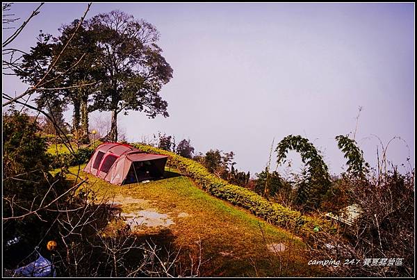 【露營247】1131205~新竹五峰★賽夏有機農場露營區, 【露營247】1131205~新竹五峰★賽夏有機農場露營區,
