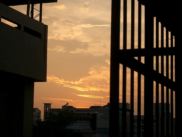 p125793032624.jpg