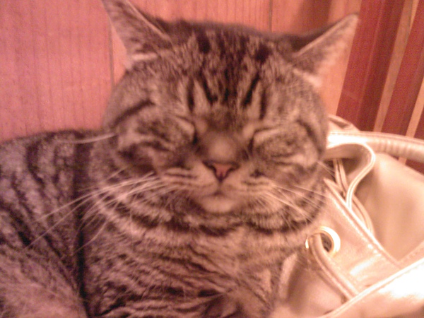 20100409212807.jpg