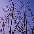 IMGP1092.JPG
