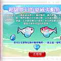 超級夢幻的夏威夷鮨魚!