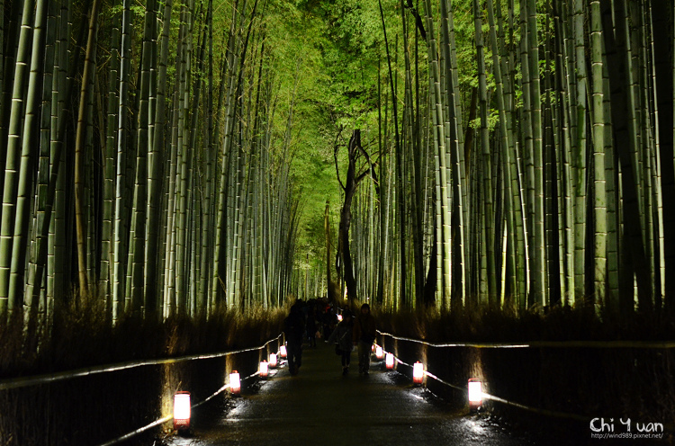 嵐山花燈路-竹林之道01.jpg