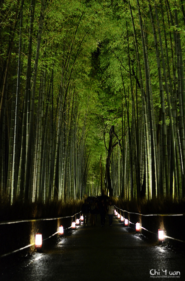 嵐山花燈路-竹林之道02.jpg