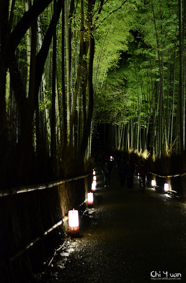 嵐山花燈路-竹林之道03.jpg