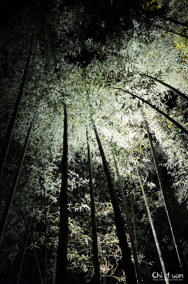 嵐山花燈路-竹林之道05.jpg