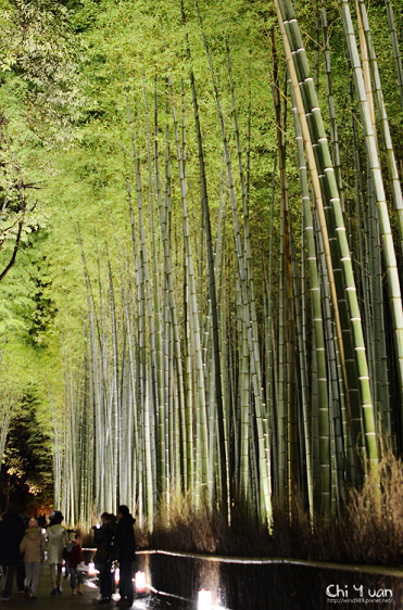 嵐山花燈路-竹林之道10.jpg