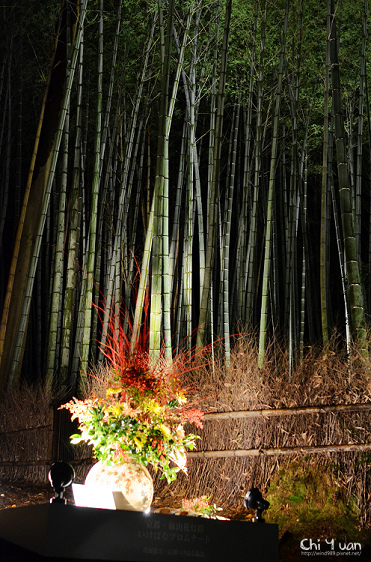 嵐山花燈路-竹林之道11.jpg