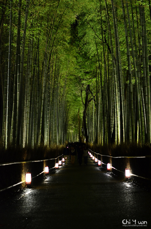 嵐山花燈路-竹林之道14.jpg