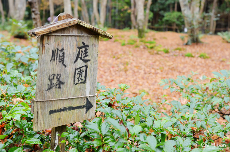 祇王寺10.jpg