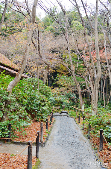 祇王寺11.jpg